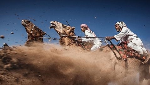 Camel Ardah AHMED AL TOQI /NATIONAL GEOGRAPHIC