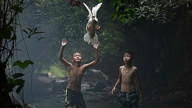 Catching a Duck SARAH WOUTERS /NATIONAL GEOGRAPHIC